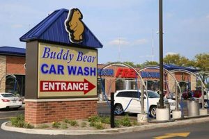 Cuddly Teddy Bear Car Wash & Dry Fun! | Teddy Information – Everything You Need to Know About Teddy Bears