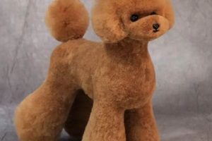 Grooming Mini Horses with Teddy Bears | Teddy Information – Everything You Need to Know About Teddy Bears