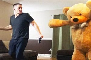 Funny Teddy Bear Pranks &amp; Ideas | Teddy Information – Everything You Need to Know About Teddy Bears