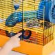 Top 5 Teddy Bear Hamster Cages: Best & Cozy | Teddy Information – Everything You Need to Know About Teddy Bears