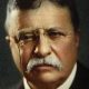 Top 10 Best Teddy Roosevelt Books: A Guide | Teddy Information – Everything You Need to Know About Teddy Bears