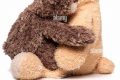 Get a Cute Teddy Bear Hug: Comfort & Joy Teddy Information – Everything You Need to Know About Teddy Bears Get a Cute Teddy Bear Hug: Comfort & Joy | Teddy Information – Everything You Need to Know About Teddy Bears