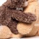 Get a Cute Teddy Bear Hug: Comfort & Joy | Teddy Information – Everything You Need to Know About Teddy Bears