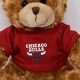 Cuddly Chicago Bulls Teddy Bear Plush Toys | Teddy Information – Everything You Need to Know About Teddy Bears