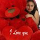 Giant Teddy Bears: Perfect Valentine's Day Gift | Teddy Information – Everything You Need to Know About Teddy Bears