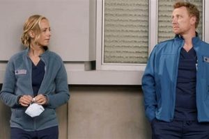 Grey's Anatomy: When Does Owen Discover Teddy's Infidelity? Teddy Information – Everything You Need to Know About Teddy Bears Grey's Anatomy: When Does Owen Discover Teddy's Infidelity? | Teddy Information – Everything You Need to Know About Teddy Bears