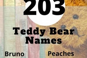 Cuddly Teddy Bear Names: Cute & Sweet Teddy Information – Everything You Need to Know About Teddy Bears Cuddly Teddy Bear Names: Cute & Sweet | Teddy Information – Everything You Need to Know About Teddy Bears