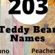 Cuddly Teddy Bear Names: Cute & Sweet | Teddy Information – Everything You Need to Know About Teddy Bears