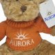 The Magical World of Aurora the Teddy | Teddy Information – Everything You Need to Know About Teddy Bears