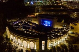 Learn to Swim with Teddy in Huntsville, AL! | Teddy Information – Everything You Need to Know About Teddy Bears