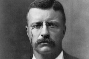 APUSH Review: Teddy Roosevelt's Impact | Teddy Information – Everything You Need to Know About Teddy Bears
