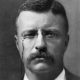 APUSH Review: Teddy Roosevelt's Impact | Teddy Information – Everything You Need to Know About Teddy Bears