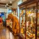 The Ultimate Guide to Teddy Bear House Museums | Teddy Information – Everything You Need to Know About Teddy Bears