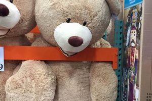 Giant Costco Teddy Bears: Christmas Gifts Teddy Information – Everything You Need to Know About Teddy Bears Giant Costco Teddy Bears: Christmas Gifts | Teddy Information – Everything You Need to Know About Teddy Bears