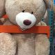 Giant Costco Teddy Bears: Christmas Gifts | Teddy Information – Everything You Need to Know About Teddy Bears