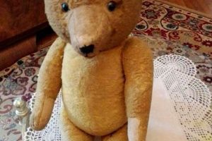 Plush Willy Teddy Bears: A Closer Look | Teddy Information – Everything You Need to Know About Teddy Bears