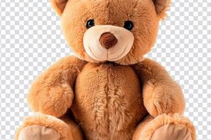 Premium Teddy Bear Sitting Services | Teddy Information – Everything You Need to Know About Teddy Bears