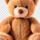 Premium Teddy Bear Sitting Services | Teddy Information – Everything You Need to Know About Teddy Bears