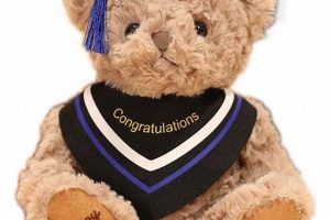 Crafty Fun: Decorate Teddy Bears with Flair! | Teddy Information – Everything You Need to Know About Teddy Bears