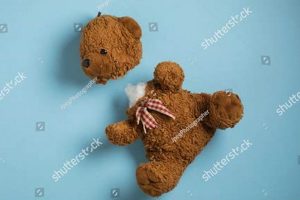 Repairing My Broken Teddy Bear: A How-To Guide | Teddy Information – Everything You Need to Know About Teddy Bears