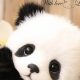 Cuddly Panda Bear Teddy Bears: Soft & Plush | Teddy Information – Everything You Need to Know About Teddy Bears