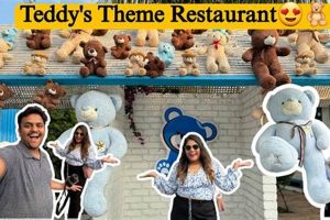 Adorable Teddy Bear Kitchen Playsets & Accessories | Teddy Information – Everything You Need to Know About Teddy Bears