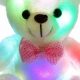 Cuddly Light Up Teddy Bears for Kids | Teddy Information – Everything You Need to Know About Teddy Bears