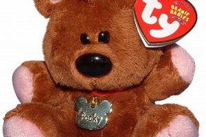 Cuddly Garfield with His Teddy Bear Pooky | Teddy Information – Everything You Need to Know About Teddy Bears