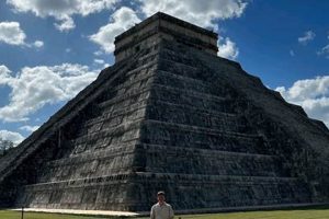 Adorable Teddy Starling Plush Toys & More | Teddy Information – Everything You Need to Know About Teddy Bears