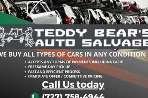 National Teddy Bears Salvage Holiday: A Plush Celebration Teddy Information – Everything You Need to Know About Teddy Bears National Teddy Bears Salvage Holiday: A Plush Celebration | Teddy Information – Everything You Need to Know About Teddy Bears