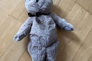 Cozy Pottery Barn Teddy Bears & Friends | Teddy Information – Everything You Need to Know About Teddy Bears