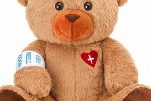Plushie Teddy Surgery: A Kid's Guide | Teddy Information – Everything You Need to Know About Teddy Bears