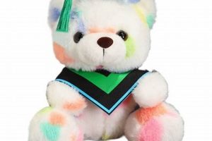 Cute Graduation Teddy Bears 2024: Classy Gifts | Teddy Information – Everything You Need to Know About Teddy Bears
