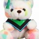 Cute Graduation Teddy Bears 2024: Classy Gifts | Teddy Information – Everything You Need to Know About Teddy Bears