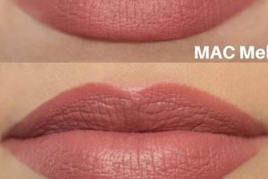 MAC Velvet Teddy: Lipstick & Liner Review | Teddy Information – Everything You Need to Know About Teddy Bears