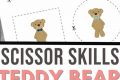 Inside a Teddy Bear: A Gentle Dissection | Teddy Information – Everything You Need to Know About Teddy Bears