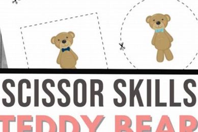 Inside a Teddy Bear: A Gentle Dissection Teddy Information – Everything You Need to Know About Teddy Bears Inside a Teddy Bear: A Gentle Dissection | Teddy Information – Everything You Need to Know About Teddy Bears