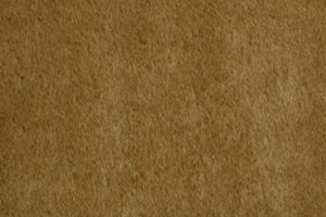 Luxurious Pierre Frey Teddy Mohair Fabric | Teddy Information – Everything You Need to Know About Teddy Bears