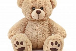Send Teddy Bear Gifts Today: Same Day Delivery Teddy Information – Everything You Need to Know About Teddy Bears Send Teddy Bear Gifts Today: Same Day Delivery | Teddy Information – Everything You Need to Know About Teddy Bears