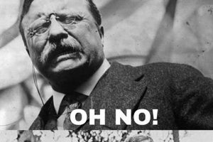 Top Teddy Roosevelt Memes: A Hilarious History | Teddy Information – Everything You Need to Know About Teddy Bears