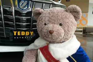 Cute Teddy Auto Plush Toys for Your Car Teddy Information – Everything You Need to Know About Teddy Bears Cute Teddy Auto Plush Toys for Your Car | Teddy Information – Everything You Need to Know About Teddy Bears