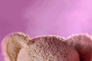 Cute Animated Teddy Bear GIFs & Images Teddy Information – Everything You Need to Know About Teddy Bears Cute Animated Teddy Bear GIFs & Images | Teddy Information – Everything You Need to Know About Teddy Bears