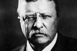 The Rise of Teddy Roosevelt Memes Online Teddy Information – Everything You Need to Know About Teddy Bears The Rise of Teddy Roosevelt Memes Online | Teddy Information – Everything You Need to Know About Teddy Bears