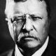 The Rise of Teddy Roosevelt Memes Online | Teddy Information – Everything You Need to Know About Teddy Bears