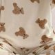 Cozy Women's Teddy Bear Pajamas for Winter | Teddy Information – Everything You Need to Know About Teddy Bears