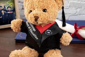 Cute Teddy Bears: Perfect Graduation Gifts 2024 | Teddy Information – Everything You Need to Know About Teddy Bears