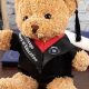 Cute Teddy Bears: Perfect Graduation Gifts 2024 | Teddy Information – Everything You Need to Know About Teddy Bears