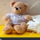 Cuddly Teddy Bears in Diapers: Aww-dorable! | Teddy Information – Everything You Need to Know About Teddy Bears