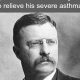 Top 10 Funny Facts About Teddy Roosevelt You Won't Believe | Teddy Information – Everything You Need to Know About Teddy Bears