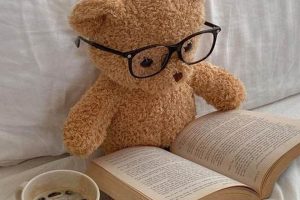 Cute Aesthetic Teddy Bears: Plush & Stylish | Teddy Information – Everything You Need to Know About Teddy Bears